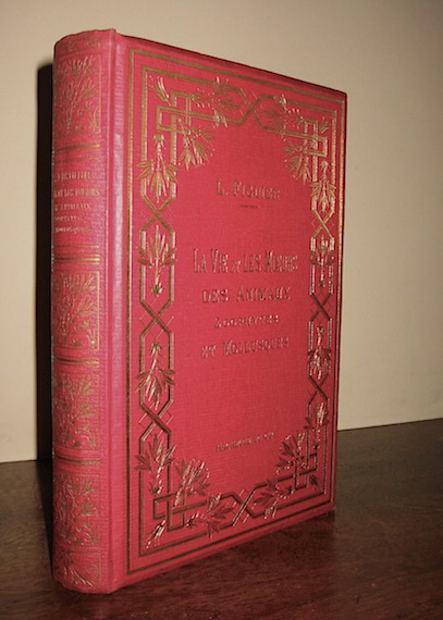 Louis Figuier La vie et les moeurs des animaux... Zoophytes et mollusques. Volume illustré de 385 figures dessinées d'après les plus beaux échantillons du Muséum d'Histoire Naturelle et des principales collections de Paris 1866 Paris Librairie Hachette et C.ie